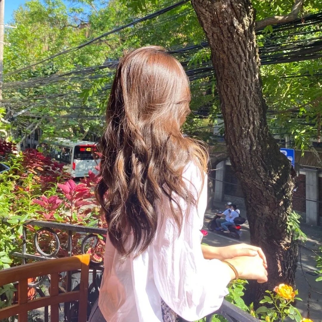 八面修罗之凤凰雪